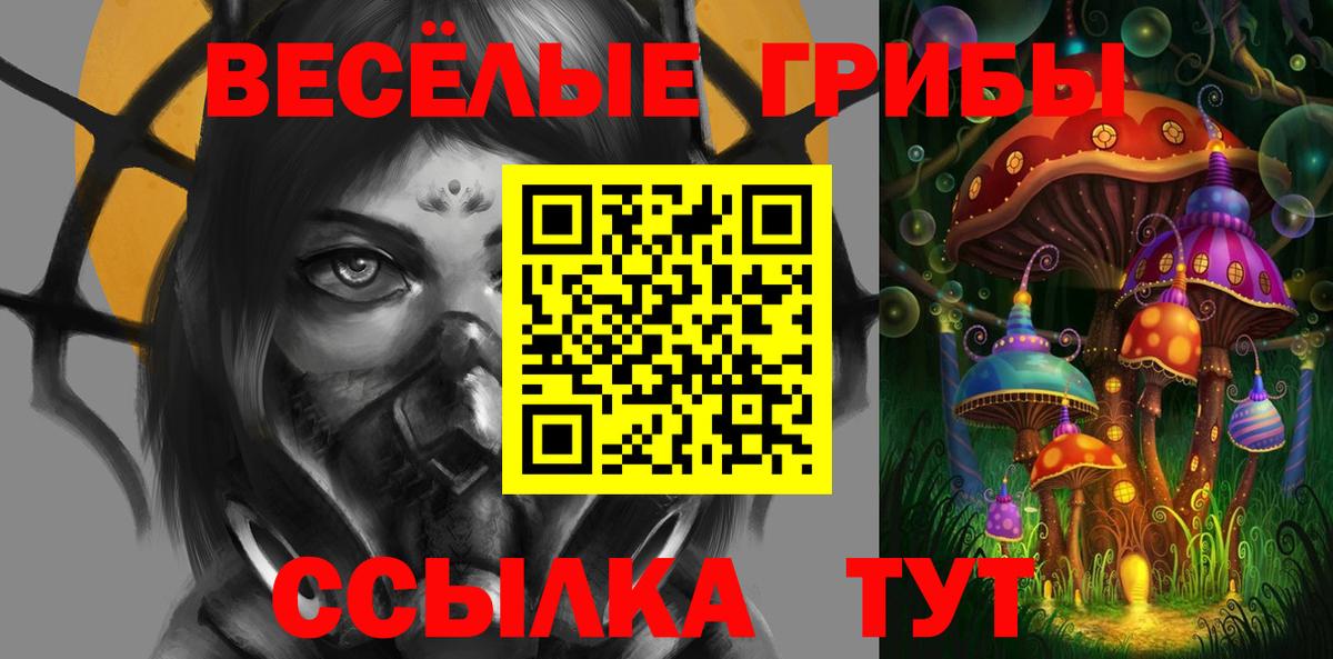 Галлюциногенные грибы прущие грибы Кирово-Чепецк