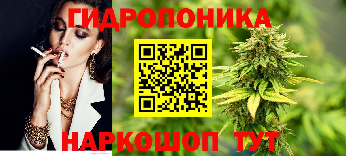 Шишки марихуана White Widow  Вход с VPN  Кирово-Чепецк  Шишки марихуана ГИДРОПОН 